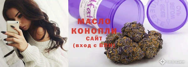 стаф Тутаев