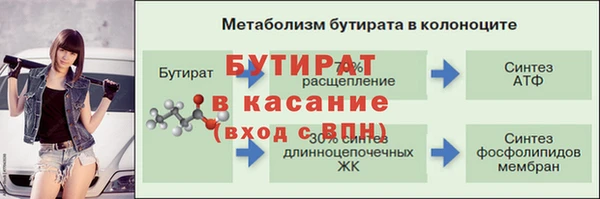 шишки Вязники