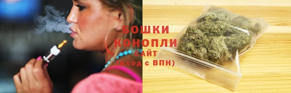 стаф Тутаев
