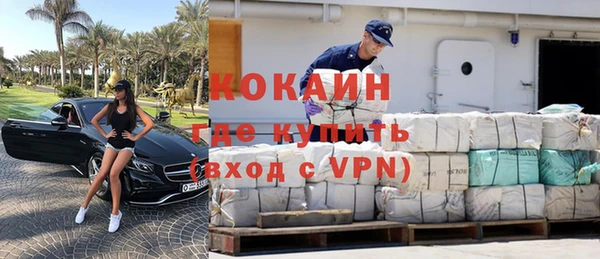 стаф Тутаев