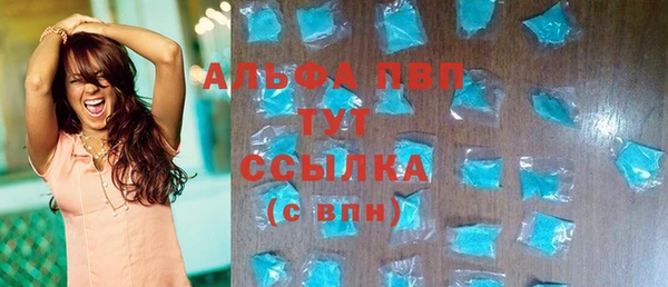 стаф Тутаев