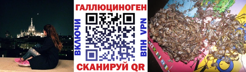 Галлюциногенные грибы Cubensis  mega ССЫЛКА  Осинники 